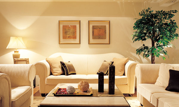 蒙太奇硅藻泥網站之行業發展篇