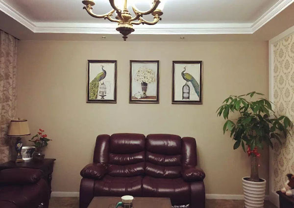 硅藻泥加盟公司17年面臨新的機遇