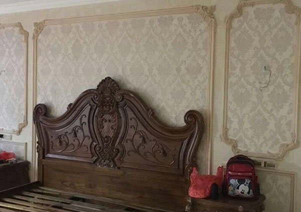 知名的硅藻泥涂料品牌 產品有保障